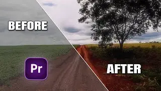 Color Grading - Premiere Pro Tutorial | Color Correction | Premiere Pro