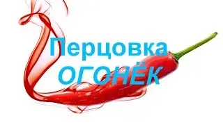 Перцовка 