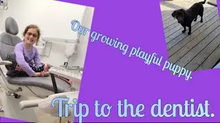 A trip to the dentist after getting negative co-vid results.