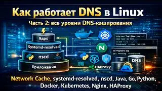 How DNS Works in Linux. Part 2: All Levels of DNS Caching