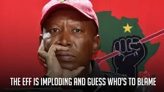 The EFF is Imploding | South Africa