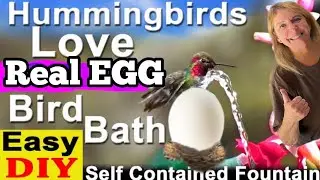 How To Make Hummingbird Real EGG ENDLESS Water Fountain Bath Bath EASY Solar Powered or USB PORTABLE