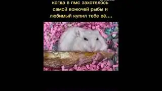 Женские дни 😂