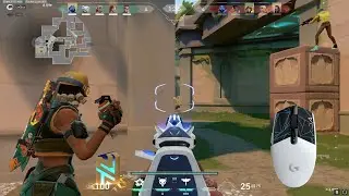 Logitech G305 (Valorant Montage)