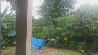 (TRAFFIC) Ambulance Responding Philippines