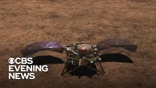 NASA's Insight lander touches down on Mars
