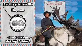 Cem Çelik'ten Mektup Bölüm 3 - Evcileştirilen İlk Hayvan - Turkey Kelimesi Kökeni