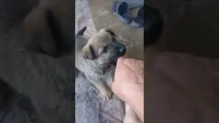 Буран в деле
