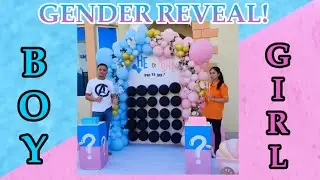 GENDER REVEAL Ideas | Preparation and activities for Gender Reveal