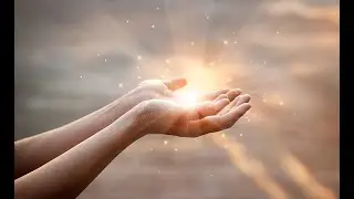 The Light (The Album Leaf - 2006)