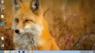 Welcome to Ultimate fox studios!!!