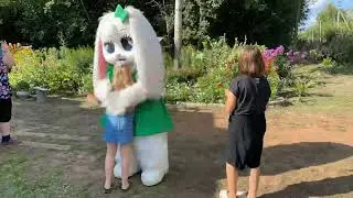 Один день из жизни Мишек.