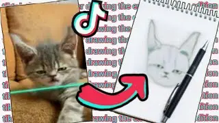 TikTok Time Warp Filter | Drawing the End Results | Cats Edition | 