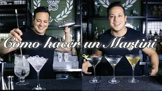 🍸MARTINI / HOW TO MAKE A DRY MARTINI / BARTENDER TUTORIAL / COCKTAIL