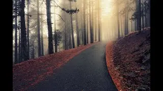 Relaxing ASMR: A Serene Journey Through Mindanao's Beautiful Roads
