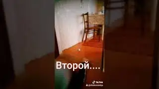 Наша семейка🤗