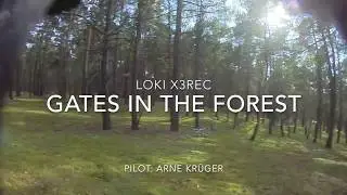 Gate Training mit Racedrone Loki X3 im Wald am Glubigsee
