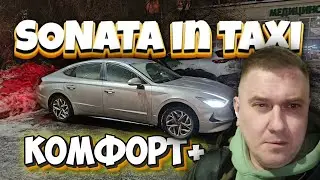 SONATA в такси - хороший вариант 17 декабря 2023 г.