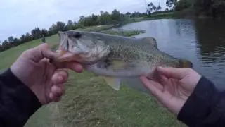 Crazy teen jumps in water for swim bait and rod!