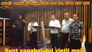 Grupul Profesional-Sunt vagabondul vietii mele