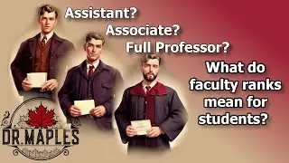 Do professor ranks matter to students? YES! Let me explain...