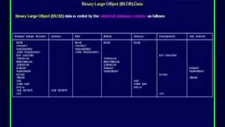 SQL 048 Data Types, BLOB Compare Database Usage