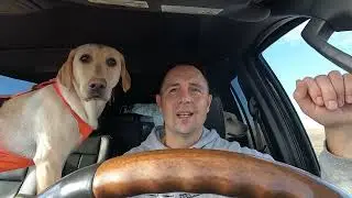 2024 Ends the Way It Started - SD Pheasant Hunting (LIMIT)