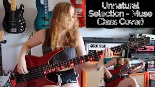Unnatural Selection - Muse (Bass Cover)