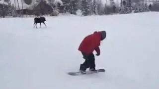 Догонялки || FunFailTop 2017