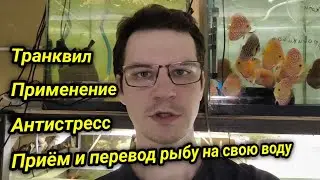 Как принимать нашу рыбу из Транквила