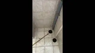 ריסוס נגד ג'וקים בראשון לציון - 055-937-8507 - המדביר שמציל