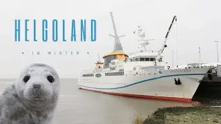 Kegelrobben auf Helgoland im Winter | Fototour | Januar 2023
