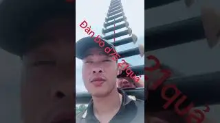 Sáo đàn bò d75 21quả