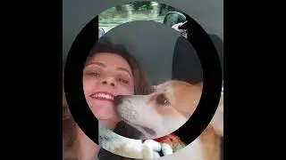 Happy owners 3