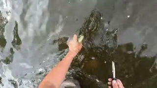 Fox River Fishing Burlington