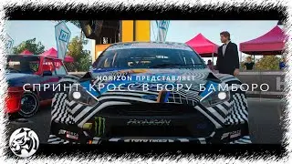 Forza Horizon 4. Спринт - кросс в бору Бамборо