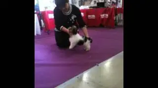 IMG 0974