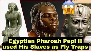 Egyptian Pharoah Pepi II Coated His Slaves in Honey to Use as Fly Traps