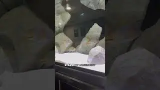 Feeding the Vieja Cichlids!