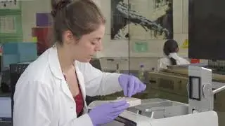 USMP | Facultad de Medicina Humana