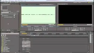 Adobe Premiere Pro CS5 Mono to Stereo Audio