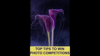 My 3 top tips for winning photo competitions