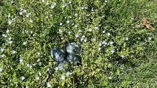 Можно ли работать в Пасху. Что нельзя делать в Пасху. Повтор