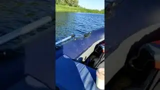Подводная охота на Волге. Щука около 5 кг.