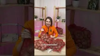 Посадочный картофель|Как выбрать семенные клубни и какие сорта устойчивы к болезням|Усадьба-Семена