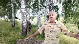 С. Есенин "Хулиган"