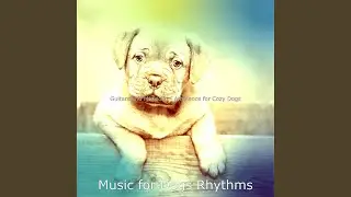 Entertaining Ambiance for Pups