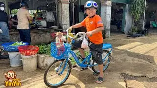 Monkey YinYin and Rin to the market buy food for mom make spring rolls