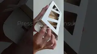 6 Easy Steps to Use Our Moth Box Trap for Ultimate Protection