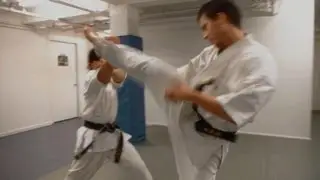 Karate vs. Karate Kyokushin & Traditional - 